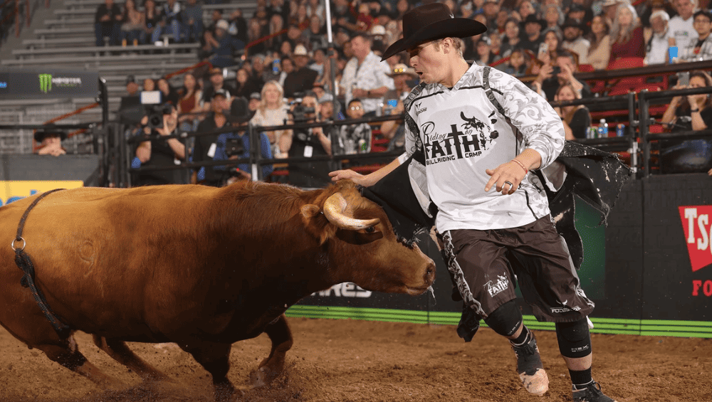 ultimate bullfighters world finals